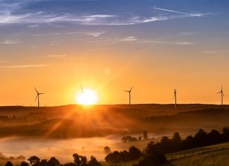 W-ekosolarzory-2025-04 - ekosolarzory_energia odnawialna_28_4.jpg