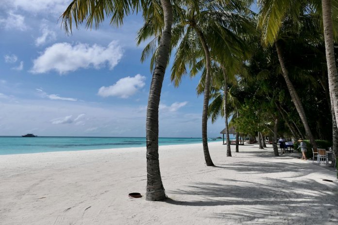 deluxetravelclub_biuro podróży malediwy-39_4.jpg